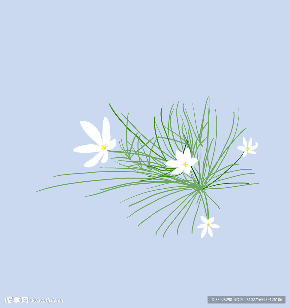 白色花
