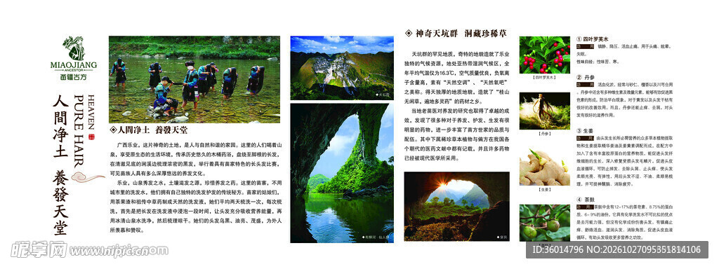 头发 防脱 生发海报