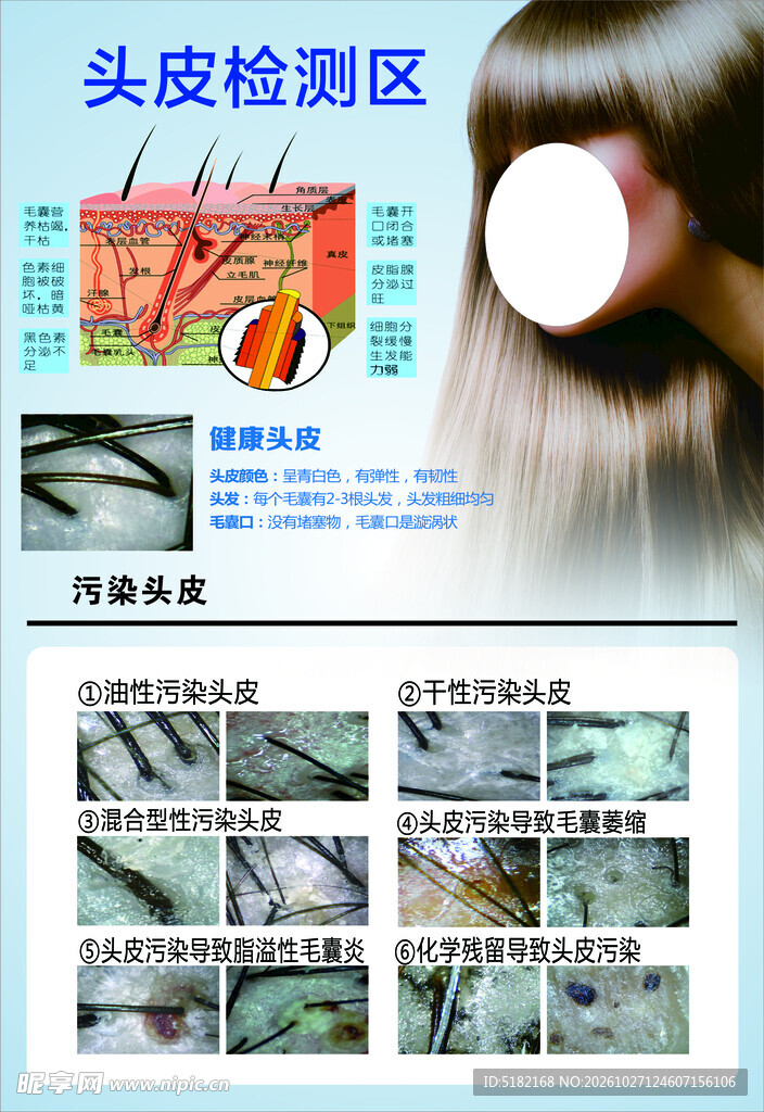 头皮检测区科普海报