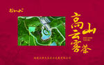 高山云雾茶宣传海报