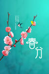 春分节气花枝插画