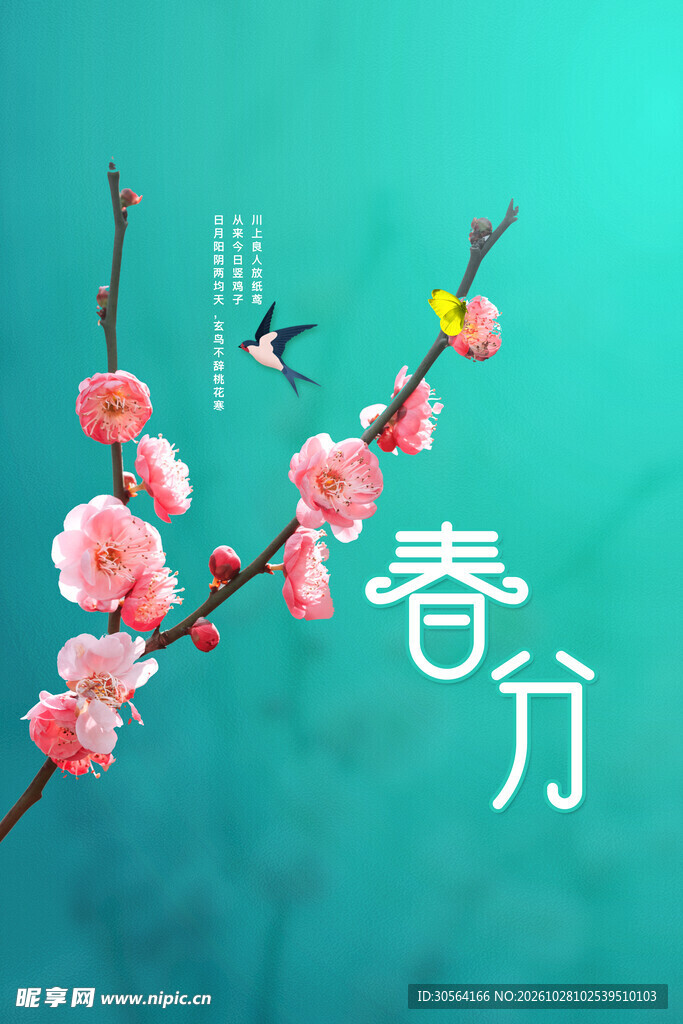 春分节气花枝插画