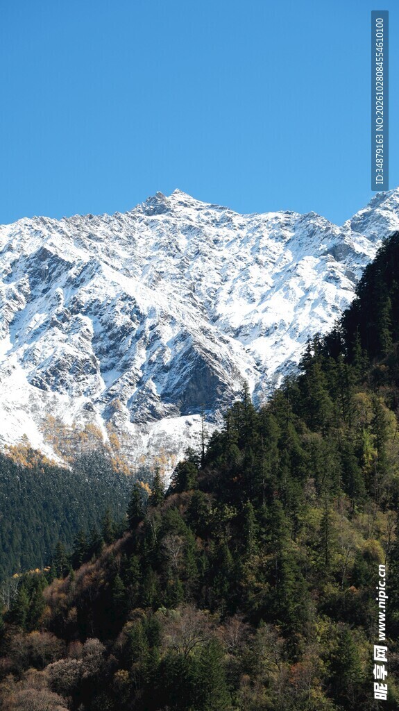 蓝天下的雪山山林风光
