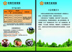 养殖业保险宣传页