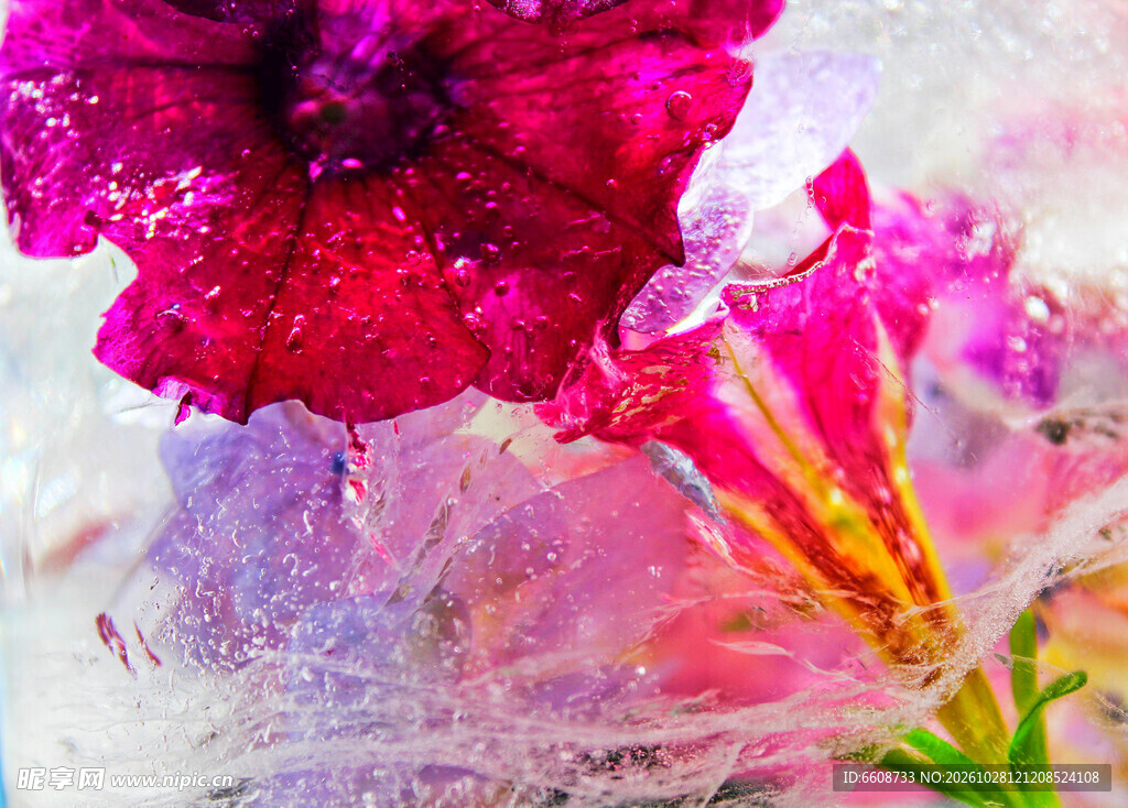 水彩写意红花插画