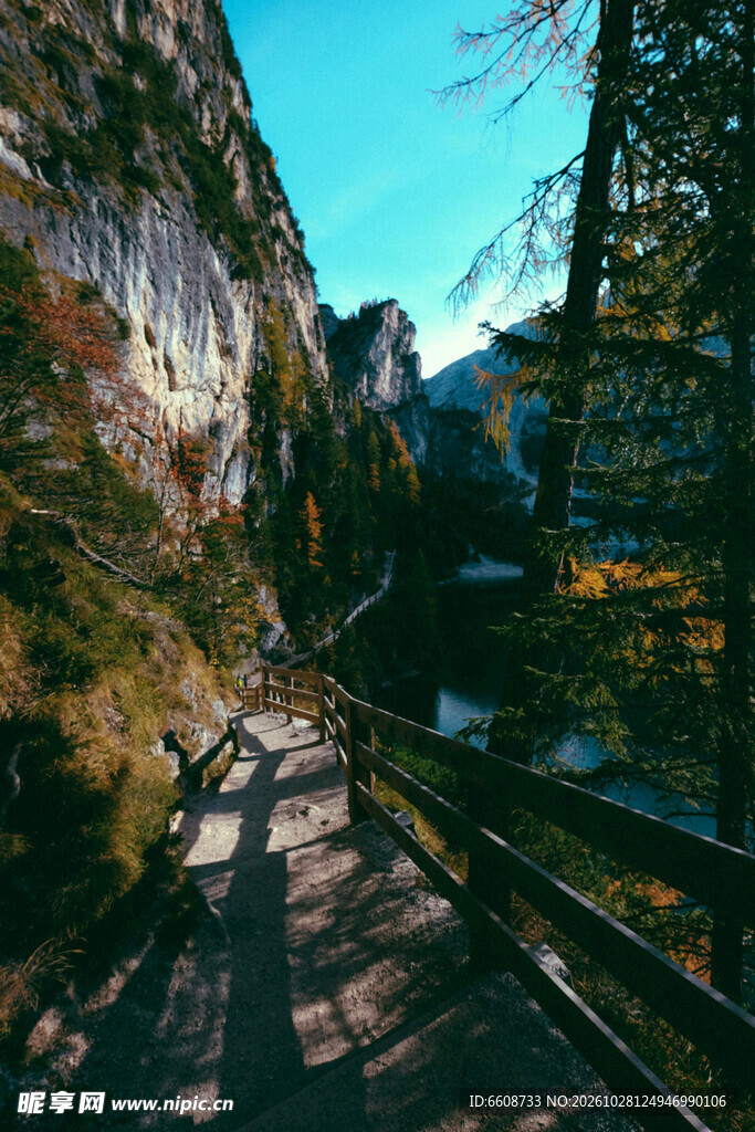 山林步道自然风光