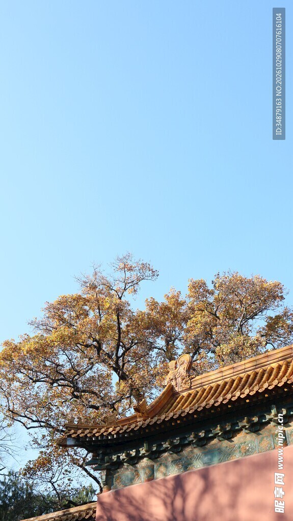 蓝天下的古建与树木