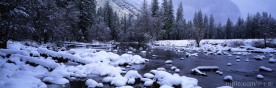 森林雪景