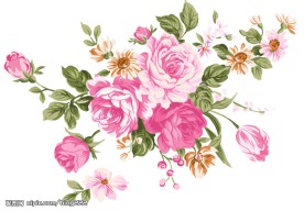 PSD花卉