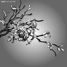 时尚花纹