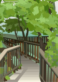 公园风景