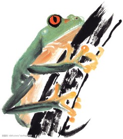 水墨风格的青蛙