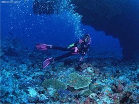 海洋潜水