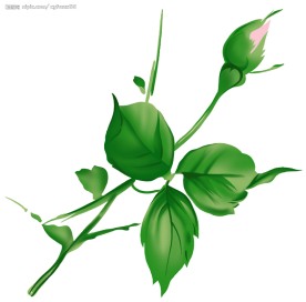 PSD花纹