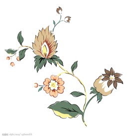 PSD花纹