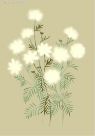 PSD花纹