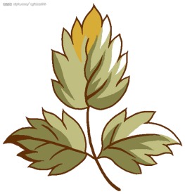 PSD花纹