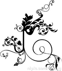 花纹矢量