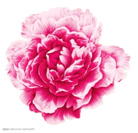 PSD花纹