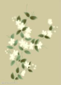 PSD花纹