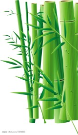 矢量竹子