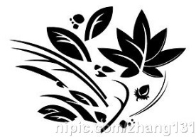 时尚花纹