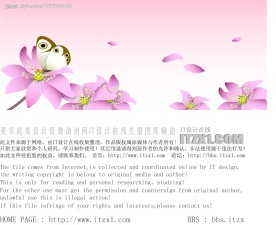 精美花纹
