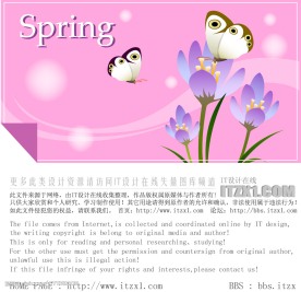 精美花纹