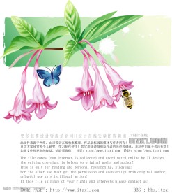 精美花纹