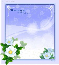 精美花纹底纹