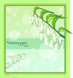 精美韩国底纹花纹