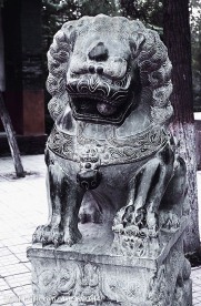 中国风