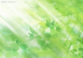 清新