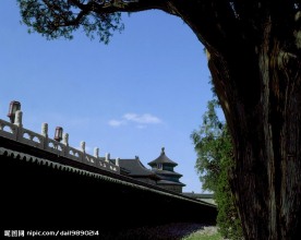 中国风