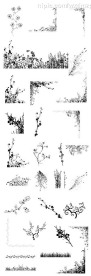 精美花纹