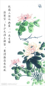 菊