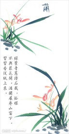 兰