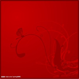 时尚矢量花纹图案