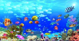 海底世界