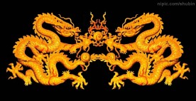 金龙戏珠