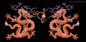 金龙戏珠