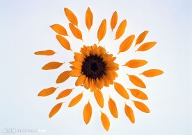 花瓣