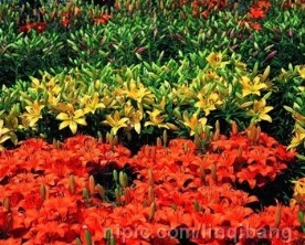 自然景观 - 自然风景