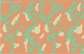 潮流迷彩矢量图（收藏珍品）35