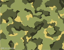 潮流迷彩矢量图（收藏珍品）38