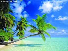 海边的漂亮风景