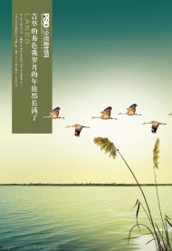 PSD 分层素材 精品