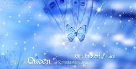 绚丽蝴蝶psd分层图