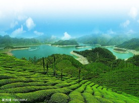 亭下湖茶山