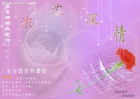 影楼专用